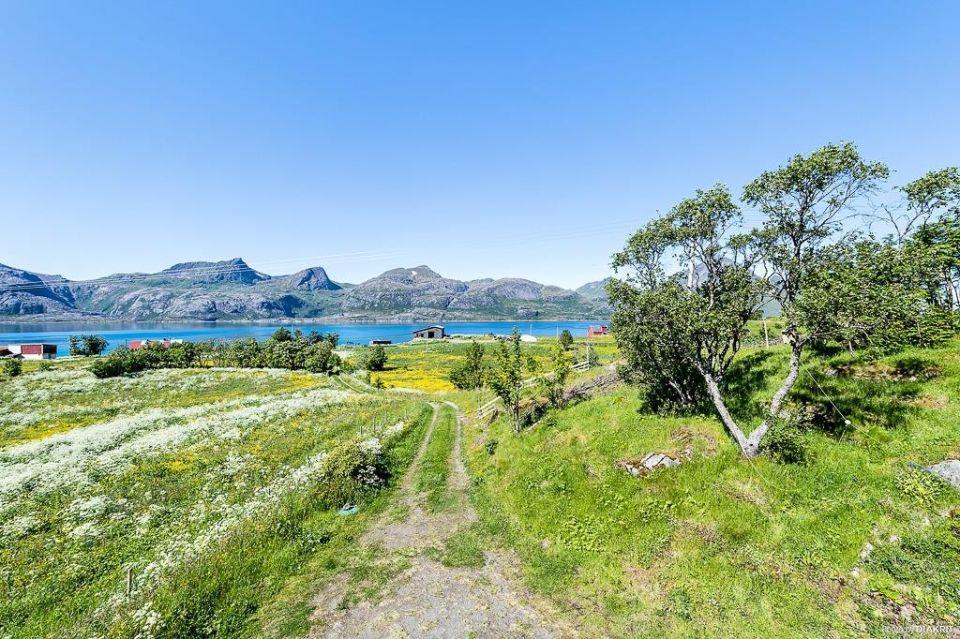 Vevika Lofoten Villa Gravdal  Esterno foto