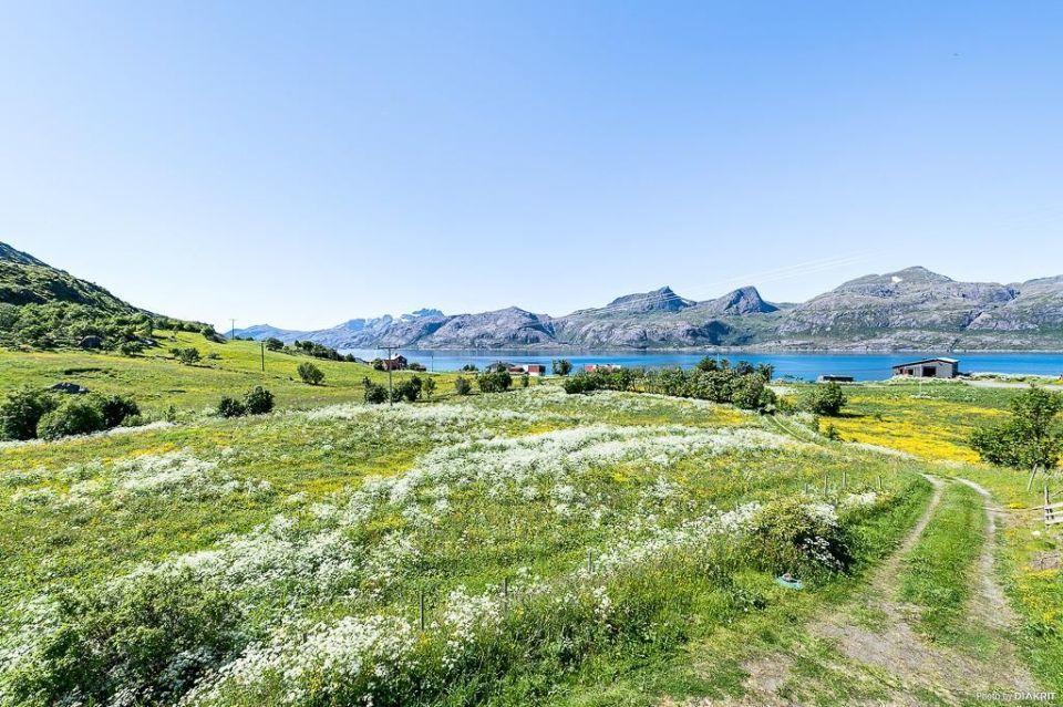 Vevika Lofoten Villa Gravdal  Esterno foto