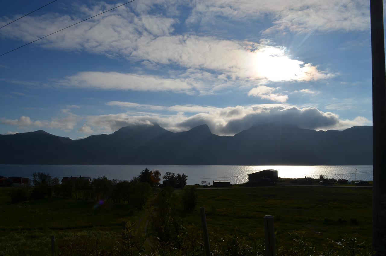 Vevika Lofoten Villa Gravdal  Esterno foto